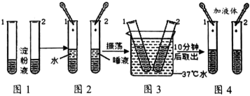 菁優(yōu)網