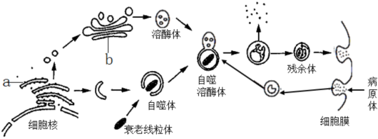 菁優(yōu)網(wǎng)