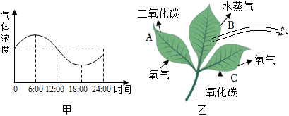 菁優(yōu)網(wǎng)