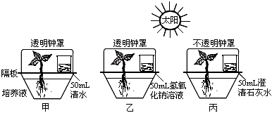 菁優(yōu)網(wǎng)