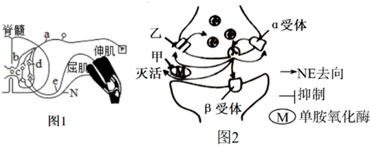 菁優(yōu)網(wǎng)