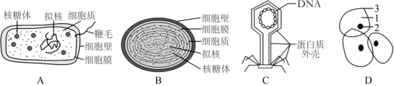 菁優(yōu)網