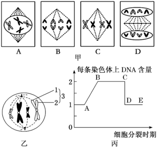 菁優(yōu)網