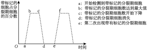 菁優(yōu)網