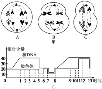 菁優(yōu)網