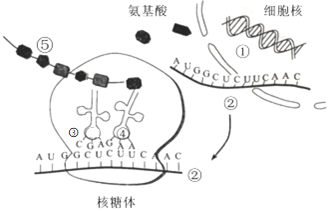 菁優(yōu)網