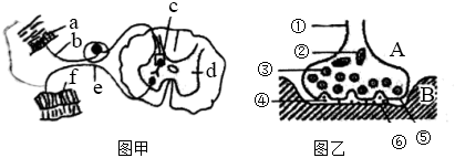 菁優(yōu)網(wǎng)