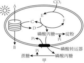 菁優(yōu)網(wǎng)