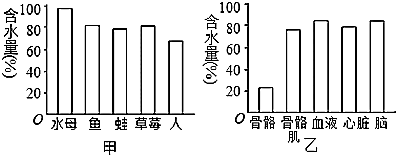 菁優(yōu)網