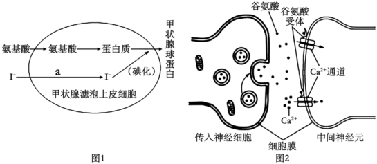 菁優(yōu)網