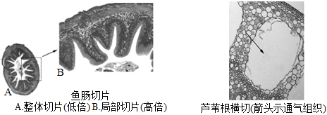 菁優(yōu)網