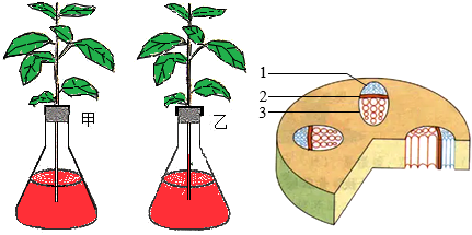 菁優(yōu)網(wǎng)