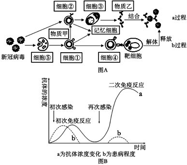 菁優(yōu)網