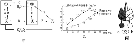 菁優(yōu)網(wǎng)