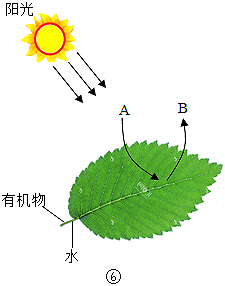 菁優(yōu)網