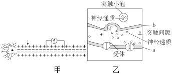 菁優(yōu)網