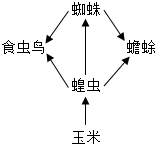 菁優(yōu)網(wǎng)