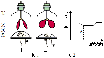 菁優(yōu)網(wǎng)