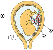 菁優(yōu)網