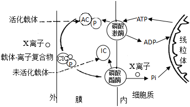 菁優(yōu)網(wǎng)