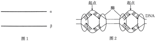 菁優(yōu)網