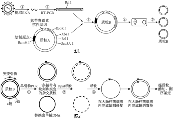 菁優(yōu)網