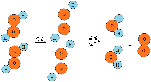 实验室常用过氧化氢（H2O2）催化分解法制取氧气（O2）。如图是过氧化氢分子分解的微观示意图，请写出你从图中获得的信息。（1）微观上：过氧化氢 ...