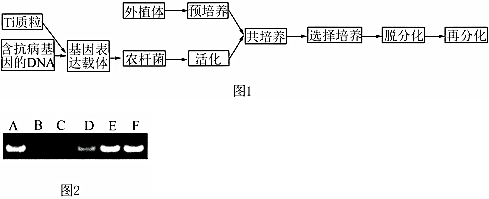 菁優(yōu)網(wǎng)