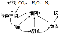 菁優(yōu)網(wǎng)