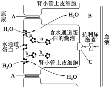 菁優(yōu)網