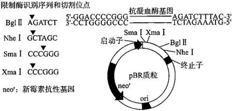 菁優(yōu)網