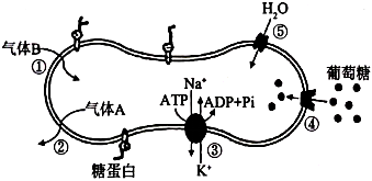 菁優(yōu)網(wǎng)