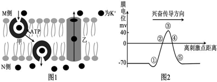 菁優(yōu)網(wǎng)