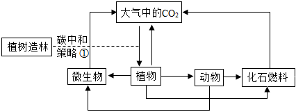 菁優(yōu)網