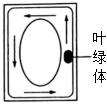 菁優(yōu)網