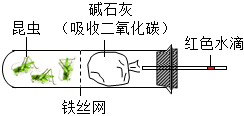 菁優(yōu)網(wǎng)