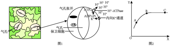 菁優(yōu)網