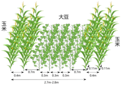 菁優(yōu)網