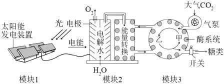 菁優(yōu)網(wǎng)