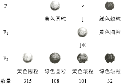 菁優(yōu)網