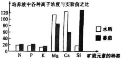 菁優(yōu)網