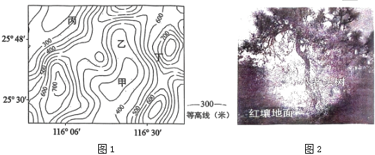 菁優(yōu)網