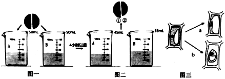 菁優(yōu)網