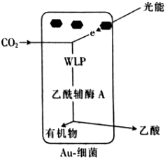 菁優(yōu)網