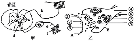 菁優(yōu)網(wǎng)