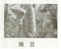 菁優(yōu)網