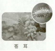 菁優(yōu)網