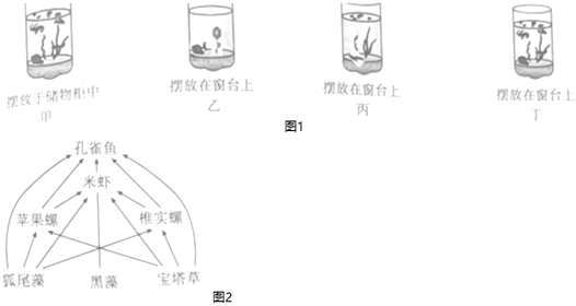 菁優(yōu)網(wǎng)