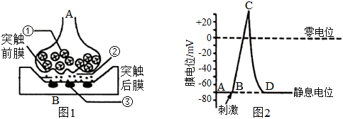 菁優(yōu)網(wǎng)