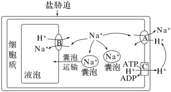 菁優(yōu)網(wǎng)